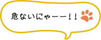 猫キャラ、にゃんトランが、ごちゃごちゃケーブルを持ち「危ないにゃーー!!」と指摘しているイメージ